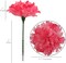 Hot Pink Carnation Flowers, 20-Pack, Artificial Carnation Picks, Silk Fake Carnations, Bulk, for DIY Wedding, Bouquets, Party, & Event, Home Decor